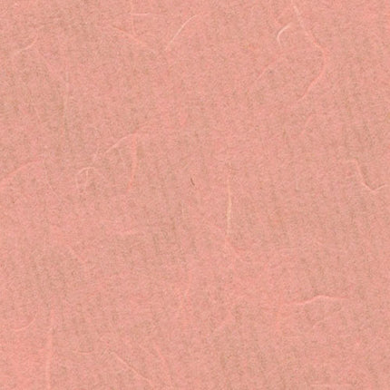 Collection image for: Pale Pink