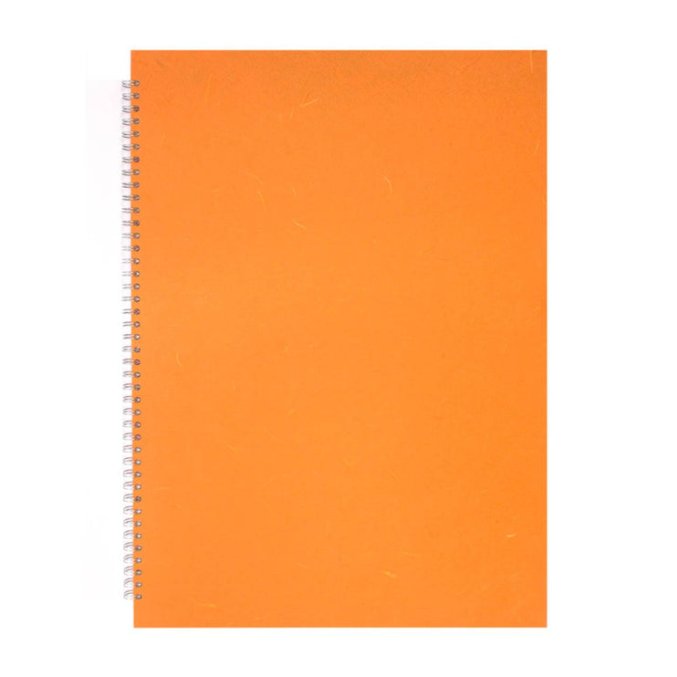 A2 Portrait, Orange Display Book by Pink Pig International